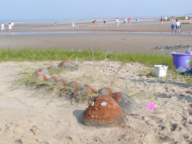 Caterpillar Sandcastle Competition Eastham Windmill Weekend